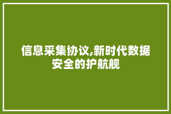 信息采集协议,新时代数据安全的护航舰