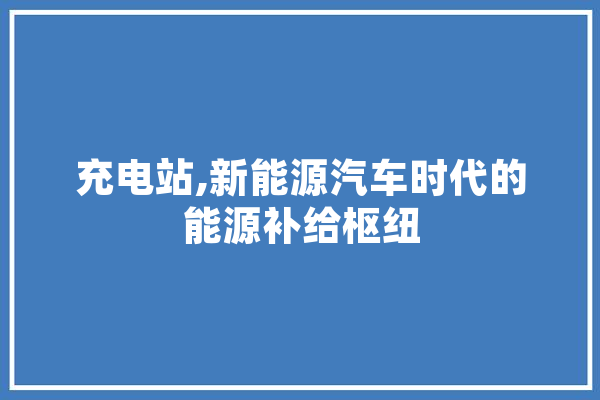充电站,新能源汽车时代的能源补给枢纽 计算机