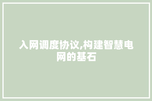 入网调度协议,构建智慧电网的基石