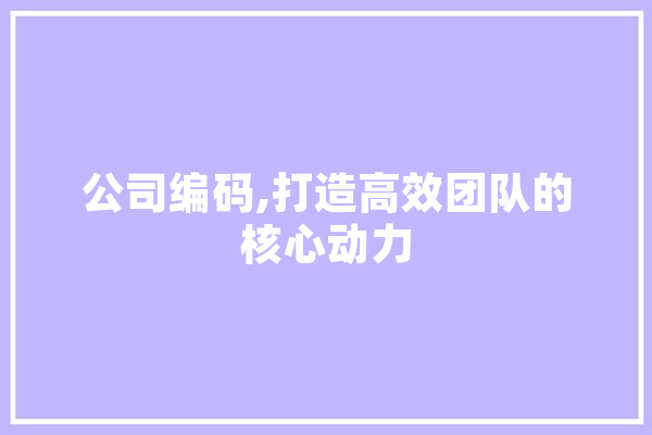 公司编码,打造高效团队的核心动力