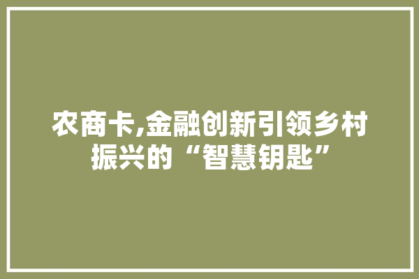 农商卡,金融创新引领乡村振兴的“智慧钥匙”