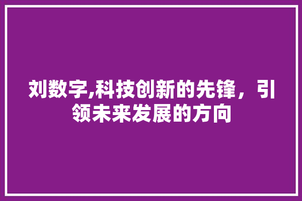 刘数字,科技创新的先锋，引领未来发展的方向