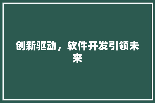 创新驱动，软件开发引领未来 文字写作