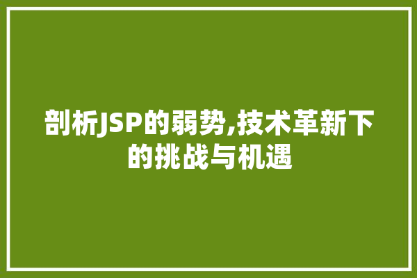 剖析JSP的弱势,技术革新下的挑战与机遇