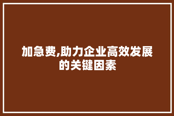 加急费,助力企业高效发展的关键因素