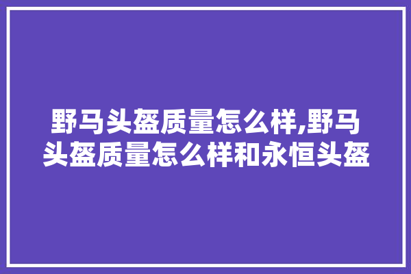 野马头盔质量怎么样,野马头盔质量怎么样和永恒头盔哪个好