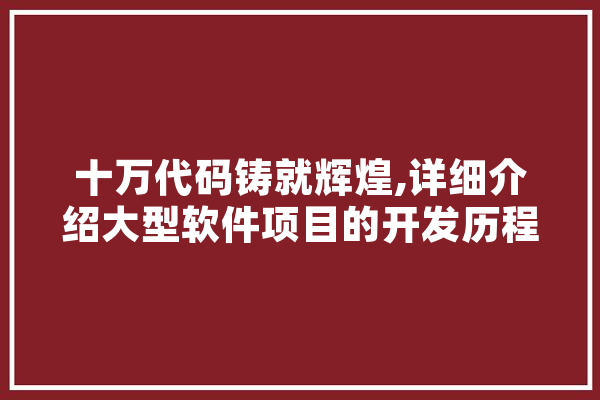 十万代码铸就辉煌,详细介绍大型软件项目的开发历程与挑战