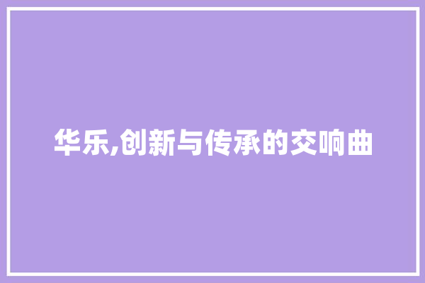 华乐,创新与传承的交响曲 绘影字幕