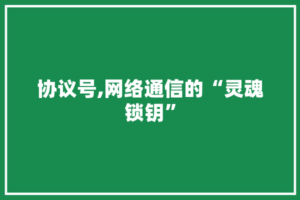 协议号,网络通信的“灵魂锁钥” 云服务