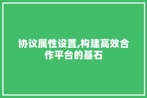 协议属性设置,构建高效合作平台的基石