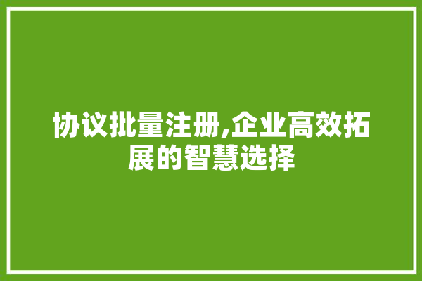 协议批量注册,企业高效拓展的智慧选择