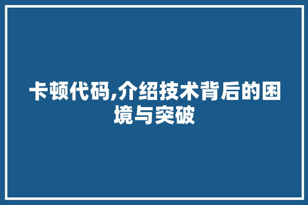 卡顿代码,介绍技术背后的困境与突破