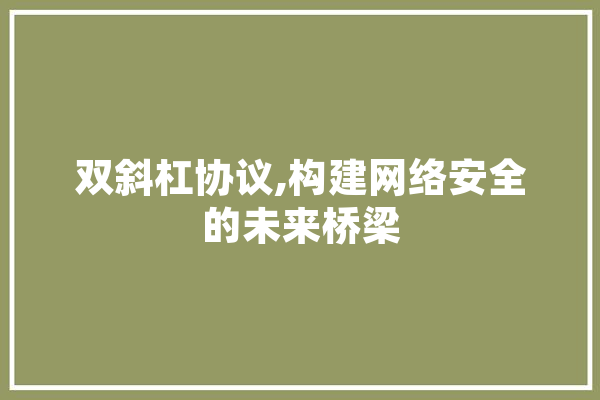 双斜杠协议,构建网络安全的未来桥梁 智能助手