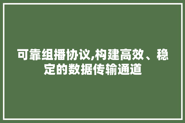 可靠组播协议,构建高效、稳定的数据传输通道