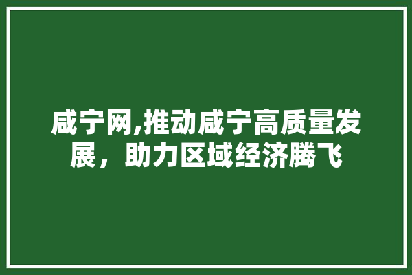 咸宁网,推动咸宁高质量发展，助力区域经济腾飞