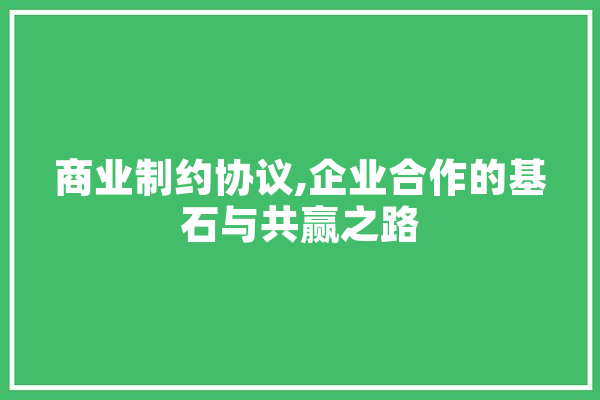 商业制约协议,企业合作的基石与共赢之路