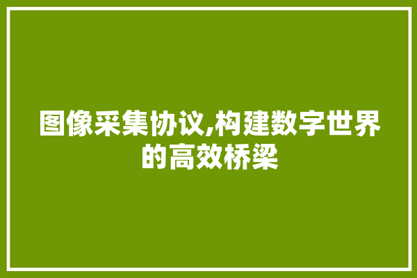 图像采集协议,构建数字世界的高效桥梁