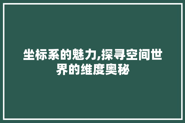坐标系的魅力,探寻空间世界的维度奥秘