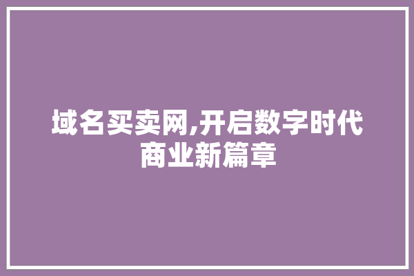 域名买卖网,开启数字时代商业新篇章