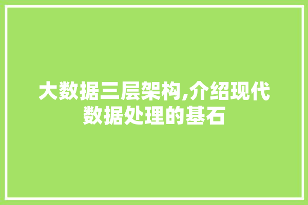 大数据三层架构,介绍现代数据处理的基石