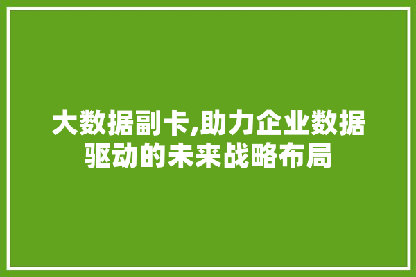 大数据副卡,助力企业数据驱动的未来战略布局 智能问答