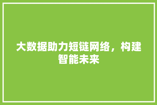 大数据助力短链网络，构建智能未来 智能助手