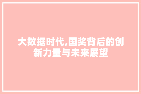 大数据时代,国奖背后的创新力量与未来展望
