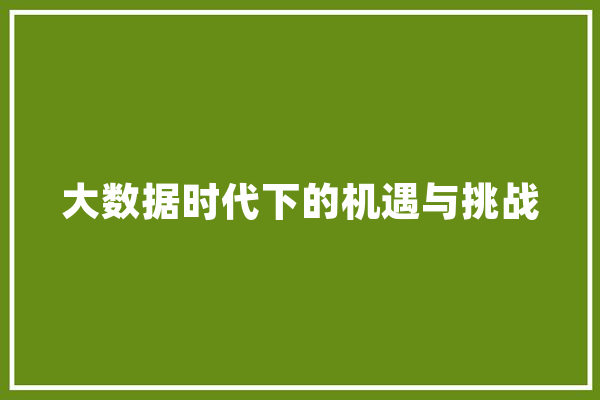 大数据时代下的机遇与挑战