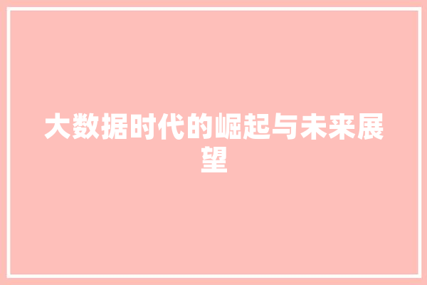 大数据时代的崛起与未来展望 文字写作