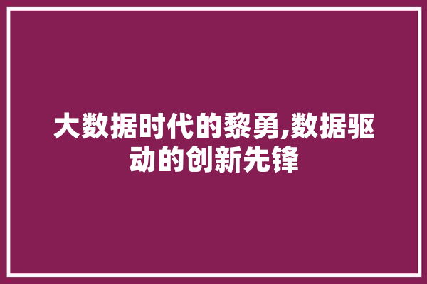 大数据时代的黎勇,数据驱动的创新先锋 AI简讯