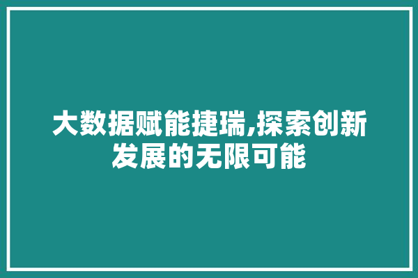 大数据赋能捷瑞,探索创新发展的无限可能