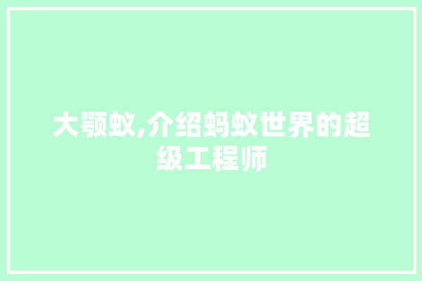 大颚蚁,介绍蚂蚁世界的超级工程师