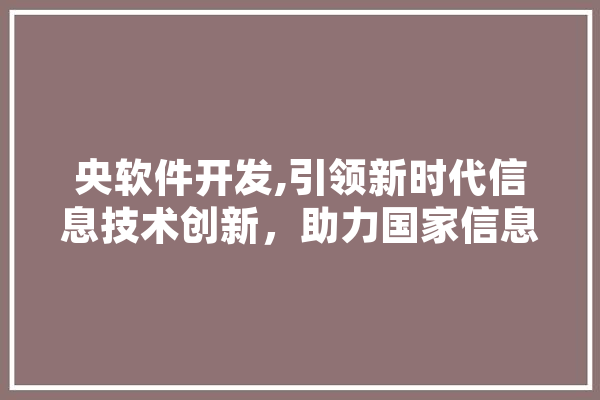 央软件开发,引领新时代信息技术创新，助力国家信息化建设