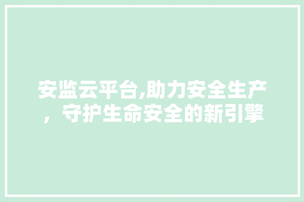 安监云平台,助力安全生产，守护生命安全的新引擎