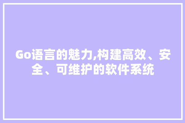 Go语言的魅力,构建高效、安全、可维护的软件系统 AI简讯