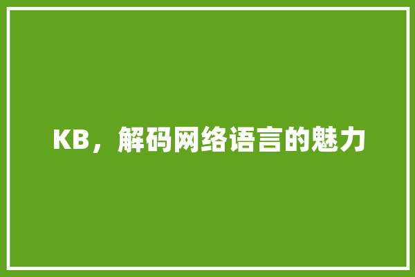 KB，解码网络语言的魅力 AI简讯