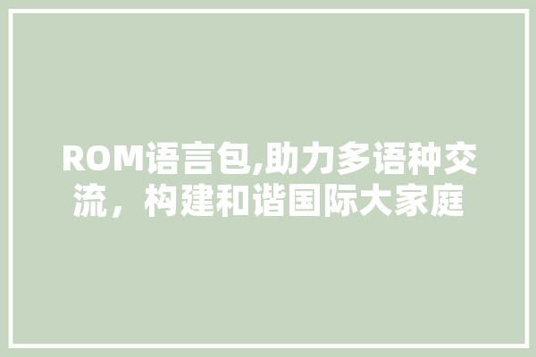 ROM语言包,助力多语种交流，构建和谐国际大家庭 绘影字幕