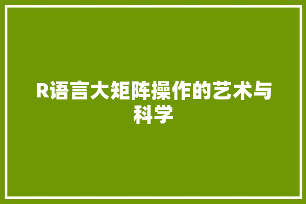 R语言大矩阵操作的艺术与科学 计算机