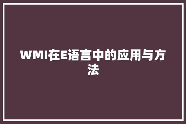 WMI在E语言中的应用与方法 文字写作