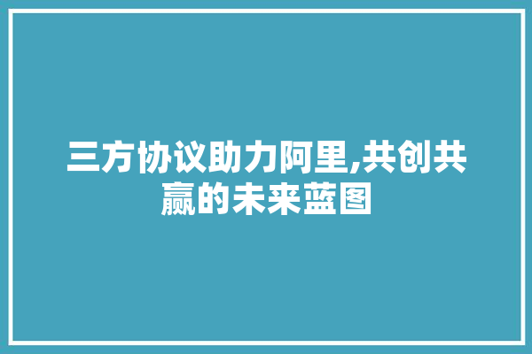 三方协议助力阿里,共创共赢的未来蓝图