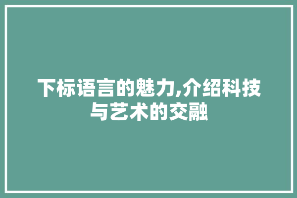 下标语言的魅力,介绍科技与艺术的交融 绘影字幕