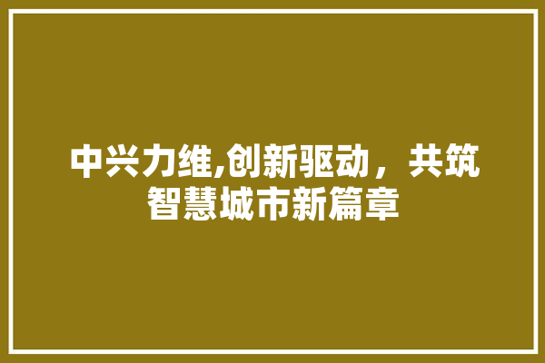 中兴力维,创新驱动，共筑智慧城市新篇章