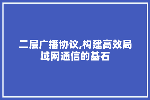 二层广播协议,构建高效局域网通信的基石