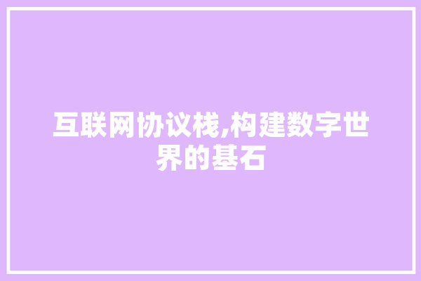互联网协议栈,构建数字世界的基石