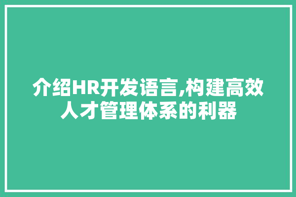 介绍HR开发语言,构建高效人才管理体系的利器 绘影字幕