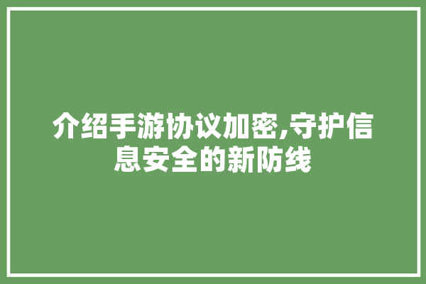 介绍手游协议加密,守护信息安全的新防线