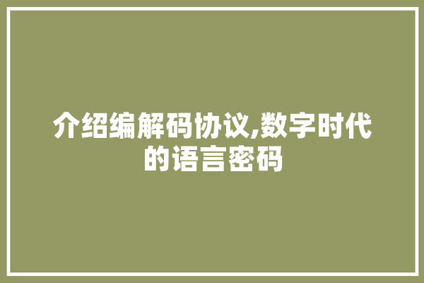 介绍编解码协议,数字时代的语言密码