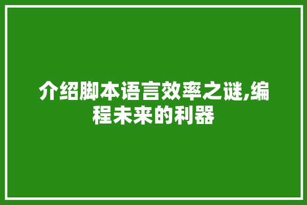 介绍脚本语言效率之谜,编程未来的利器 AI简讯