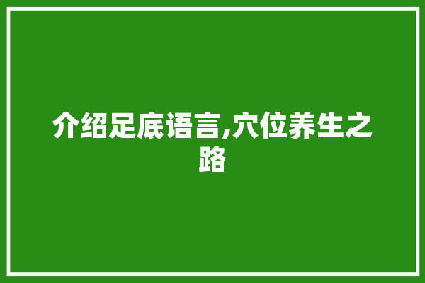 介绍足底语言,穴位养生之路 AI简讯