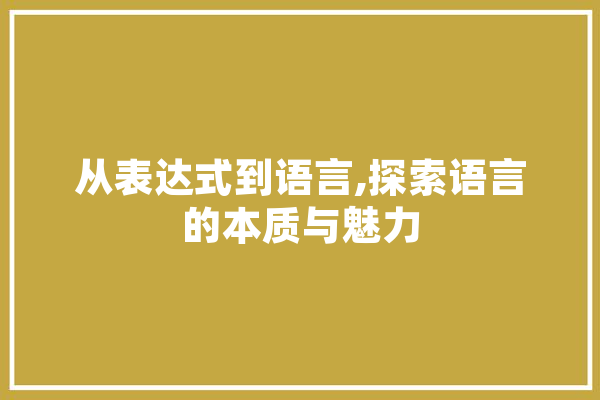 从表达式到语言,探索语言的本质与魅力 计算机